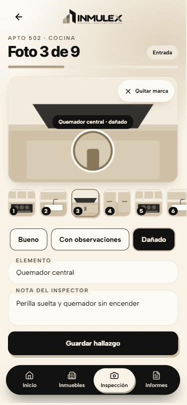 Pantalla de inspección de INMULEX con la marca puesta sobre un daño en la foto