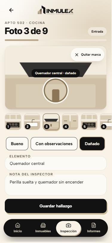 Pantalla de inspección de INMULEX con la marca puesta sobre un daño